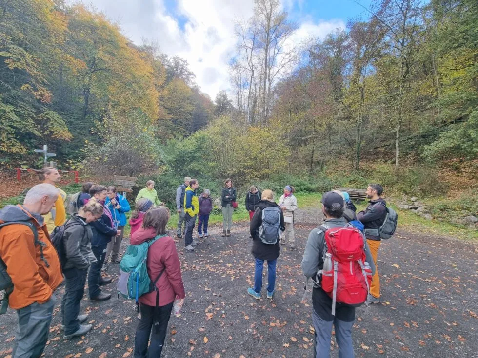 IMG-20251021-WA0032-980x735