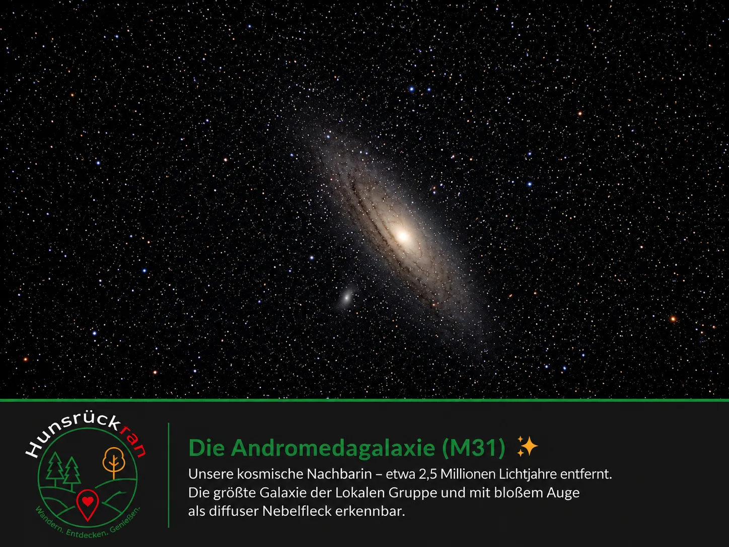 Codex-Bild 15. Aug. 2026, 09_41_26
